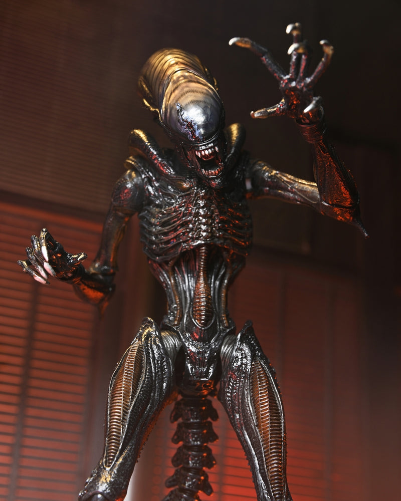 【预售】Alien: Romulus / scorched xenomorph  ULTIMATE   7英寸 可动手办《NECA 》【※同梱不可】