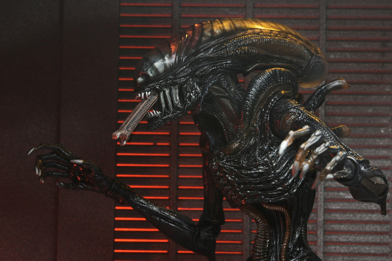 【预售】Alien: Romulus / scorched xenomorph  ULTIMATE   7英寸 可动手办《NECA 》【※同梱不可】