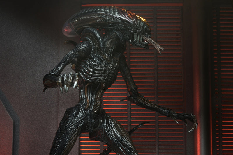 【Pre-Order】"Alien: Romulus" Ultimate Scorched Xenomorph 7-inch Scale Action Figure <Neca> [*Cannot be bundled]