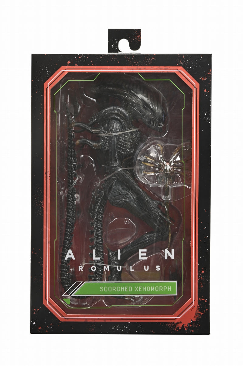 【Pre-Order】"Alien: Romulus" Ultimate Scorched Xenomorph 7-inch Scale Action Figure <Neca> [*Cannot be bundled]