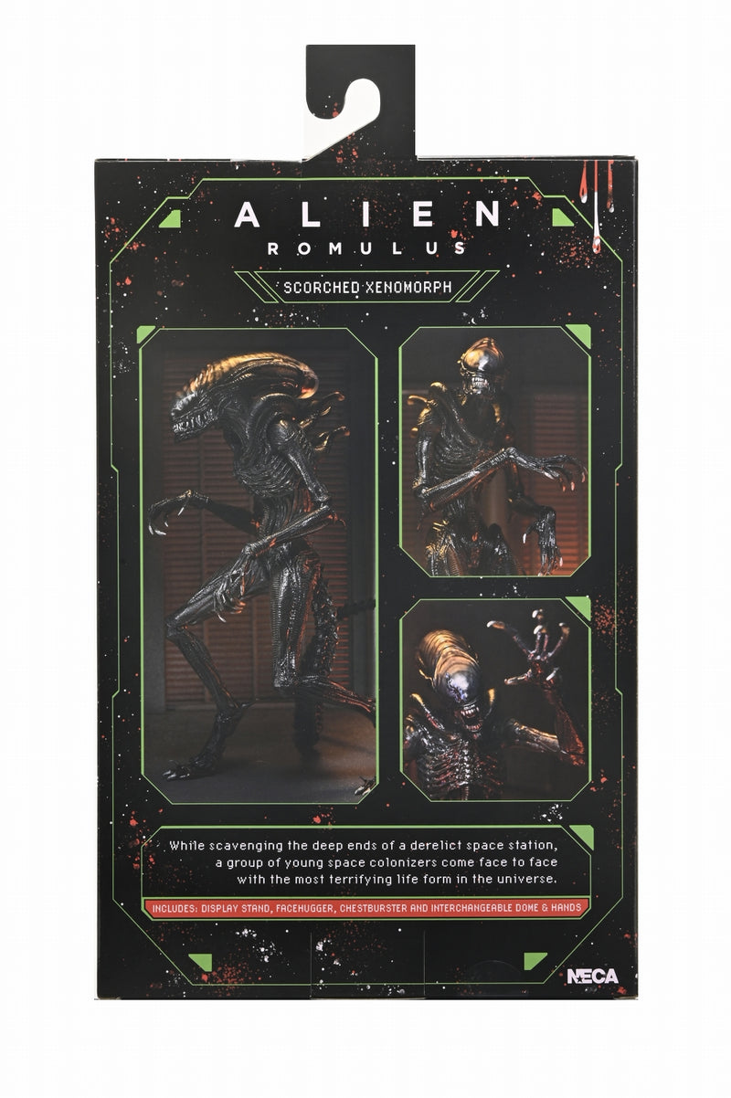 【Pre-Order】"Alien: Romulus" Ultimate Scorched Xenomorph 7-inch Scale Action Figure <Neca> [*Cannot be bundled]