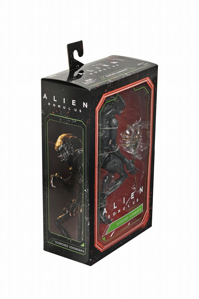 【预售】Alien: Romulus / scorched xenomorph  ULTIMATE   7英寸 可动手办《NECA 》【※同梱不可】