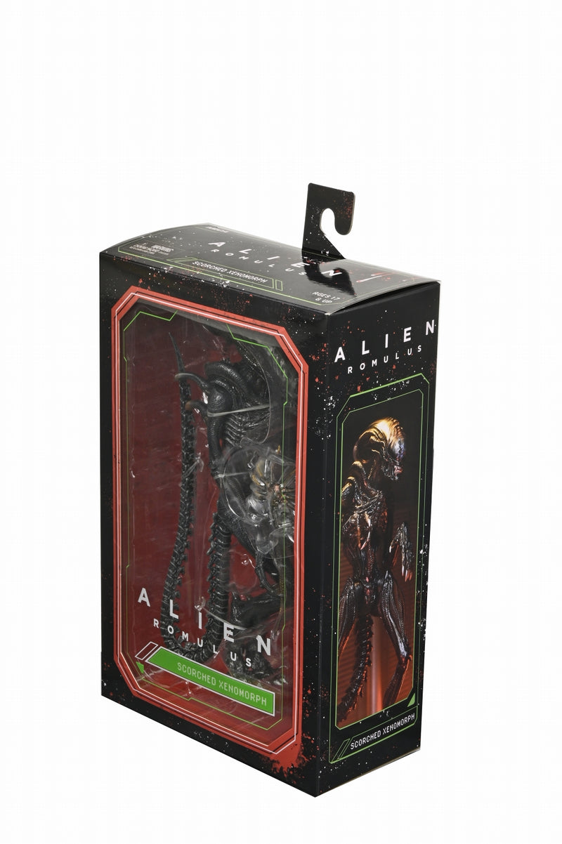 【预售】Alien: Romulus / scorched xenomorph  ULTIMATE   7英寸 可动手办《NECA 》【※同梱不可】