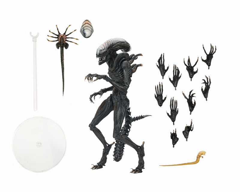 【Pre-Order】"Alien: Romulus" Ultimate Scorched Xenomorph 7-inch Scale Action Figure <Neca> [*Cannot be bundled]