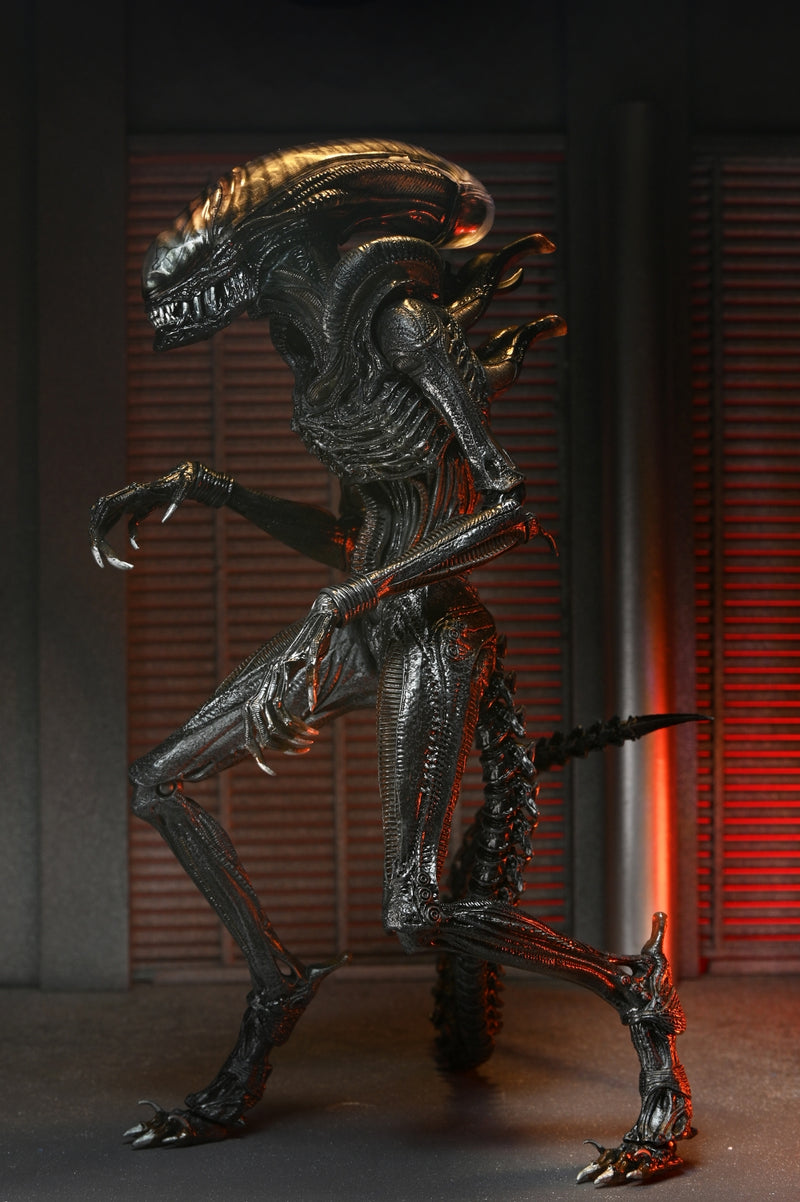 【Pre-Order】"Alien: Romulus" Ultimate Scorched Xenomorph 7-inch Scale Action Figure <Neca> [*Cannot be bundled]