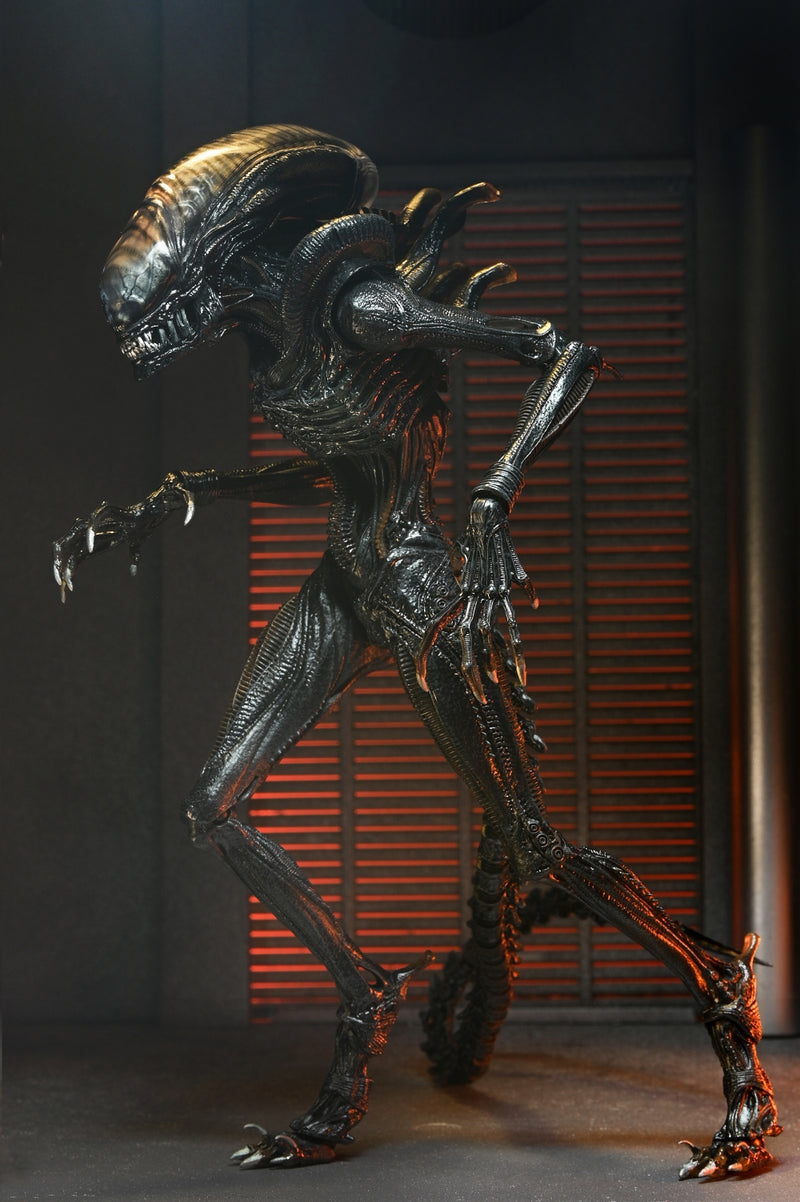 【Pre-Order】"Alien: Romulus" Ultimate Scorched Xenomorph 7-inch Scale Action Figure <Neca> [*Cannot be bundled]