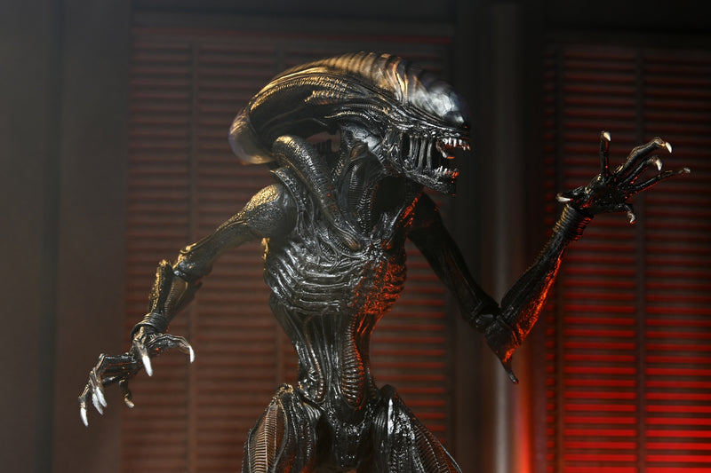 【Pre-Order】"Alien: Romulus" Ultimate Scorched Xenomorph 7-inch Scale Action Figure <Neca> [*Cannot be bundled]