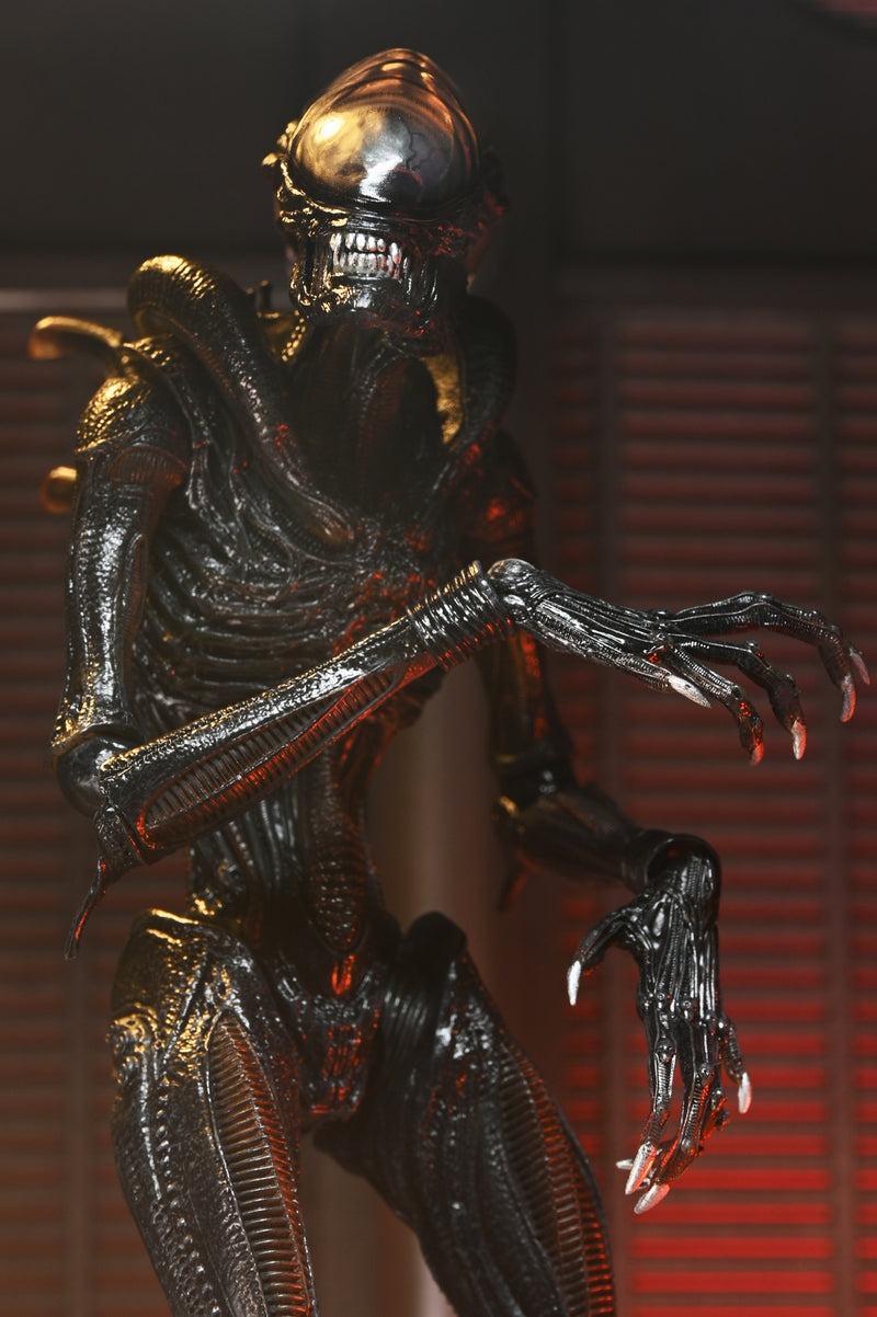 【Pre-Order】"Alien: Romulus" Ultimate Scorched Xenomorph 7-inch Scale Action Figure <Neca> [*Cannot be bundled]