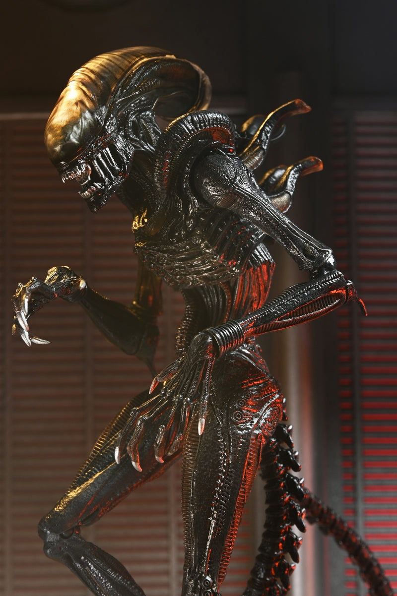 【预售】Alien: Romulus / scorched xenomorph  ULTIMATE   7英寸 可动手办《NECA 》【※同梱不可】