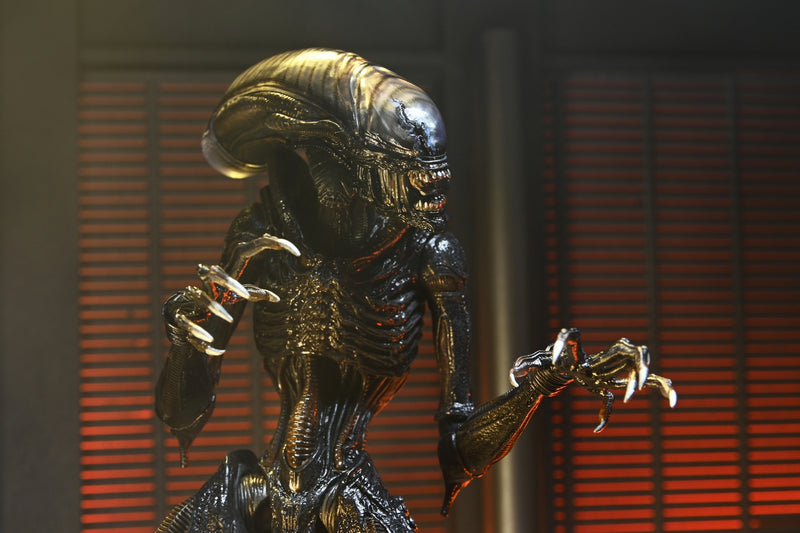 【Pre-Order】"Alien: Romulus" Ultimate Scorched Xenomorph 7-inch Scale Action Figure <Neca> [*Cannot be bundled]