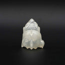 ガチャキング シリーズ5.5 人喰いザメのPUCHIメガどん カプセルトイ5種セット ソフビ