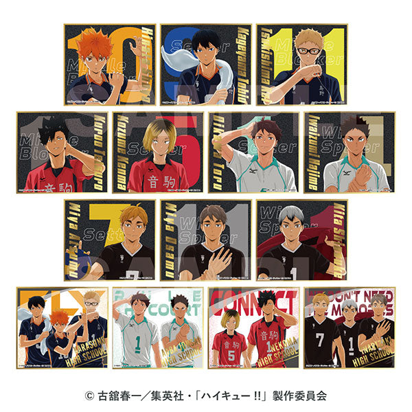 【Pre-Order】Anime "Haikyu!!" Visual Colored Paper Collection 8 14 Pieces/BOX <ensky> [*Cannot be bundled]