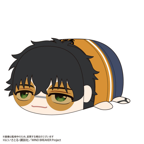 【Pre-Order】"WIND BREAKER" Potekoro Mascot BIG 2 C: Jo Togame <Max Limited> [*Cannot be bundled]