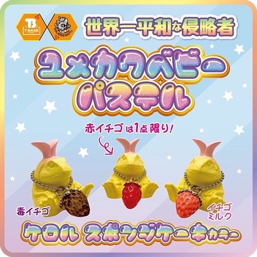 Limited】SOLID DESIGN アボコ・Dr.ぺスター・カルパッチョ